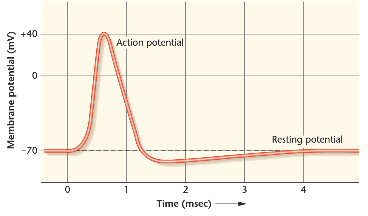 Action potentials